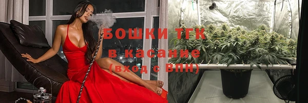 не бодяженный Аркадак