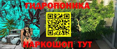 гидра Нальчик