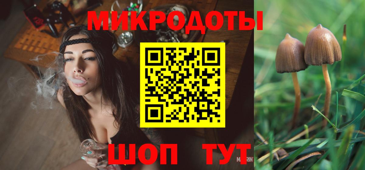 Родники  Псилоцибиновые грибы мицелий  наркошоп  Вход с VPN 